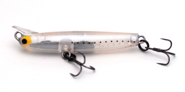 risingminnow