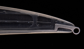 k2fesacpe