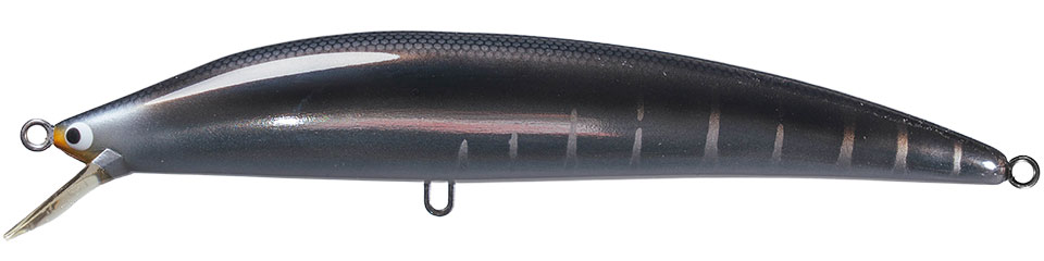 07.シルバーブラックケイムラ