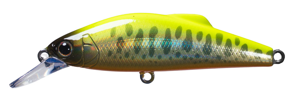 2.チャートバックヤマメ