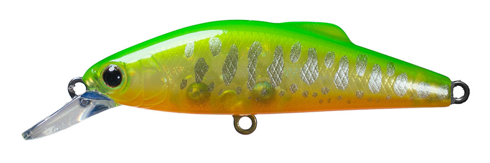 5.トランスグリーン