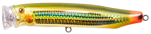 #Dorado