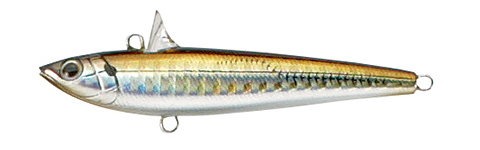 13.SHアジ